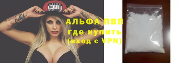 спиды Магас