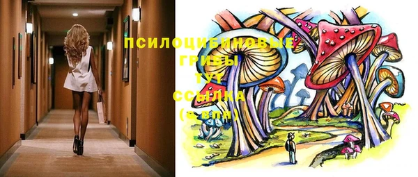 бошки Бердск