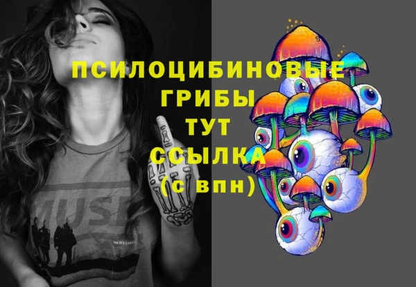 спиды Магас