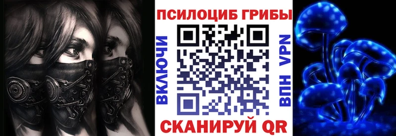 Галлюциногенные грибы Psilocybe  Бирюсинск 